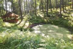 Arboretum-sierpien-22-01