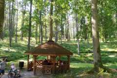 Arboretum-sierpien-22-04