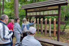 Arboretum-18