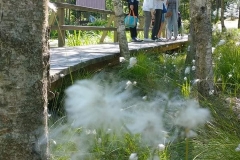 Arboretum-46