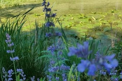 Arboretum-47
