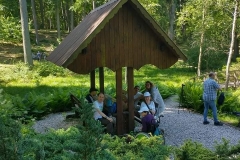 Arboretum-48