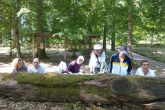 Arboretum-52