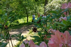 Arboretum-56