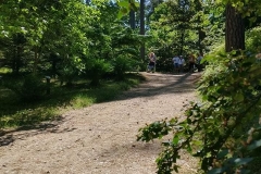 Arboretum-57