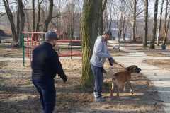 Dogoterapia-1