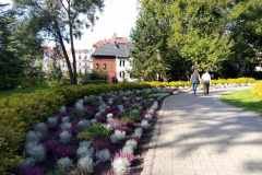 Olsztyn-zachwyca-10