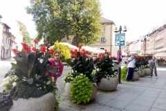 Olsztyn-zachwyca-09