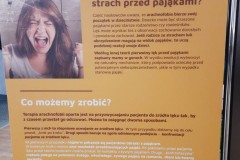 Pajaki-i-skopiony-widzielismy-jak-na-dloni-09