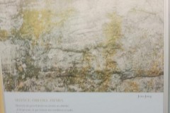 Spacer-z-kultura-2025-09