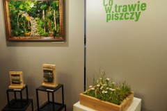 Wernisaz-Co-w-trawie-Piszczy-21