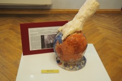 Wernisaz-Moj-Swiat-14