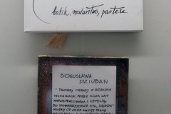 Wystawa-Boguslawa-Dziunan-01
