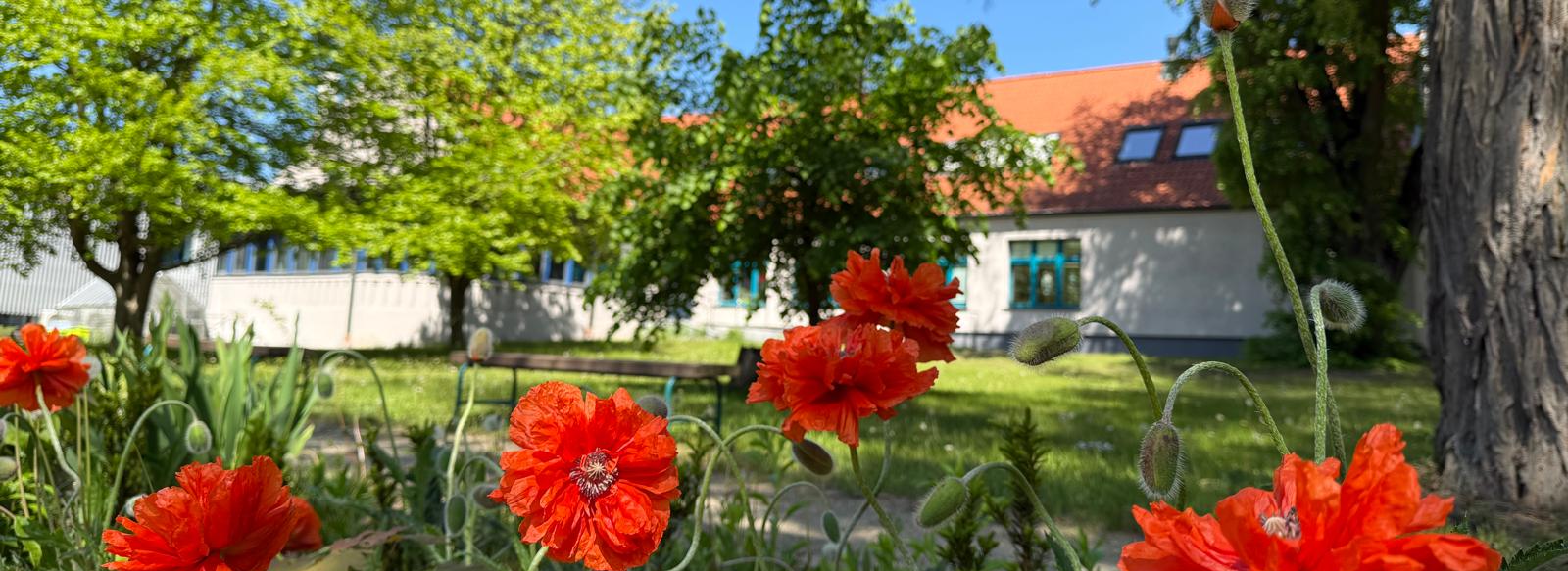 Stowarzyszenie Wyjątkowe Serce