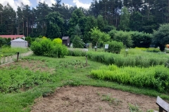 ziolowa-dolina-3