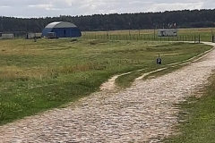 Gryzliny-2