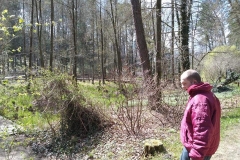 arboretum-15
