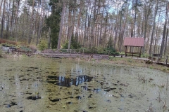 arboretum-5