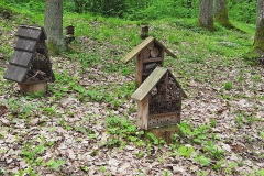 Arboretum-13