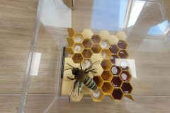 Ekologiczne-warsztaty-11