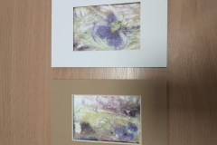Ekoprinting-14