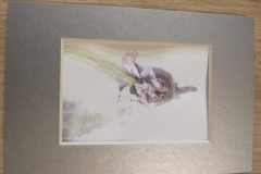 Ekoprinting-20