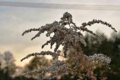 Wernisaz_zdjecia_cz_2-7-scaled