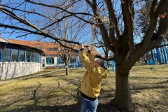 Niebieski-korowod-serc-36