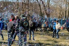 Niebieski-korowod-serc-53