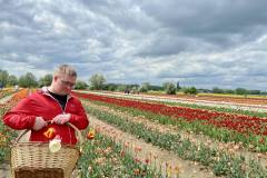 O-Rany-Tulipany-05-2024-02