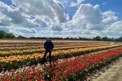 O-Rany-Tulipany-05-2024-07