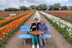 O-Rany-Tulipany-05-2024-13
