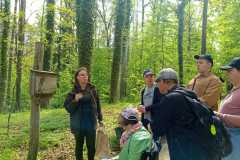 Odkrywamy-sekrety-majowego-Arboretum-10