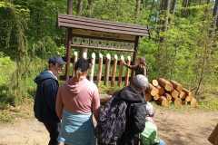 Odkrywamy-sekrety-majowego-Arboretum-12