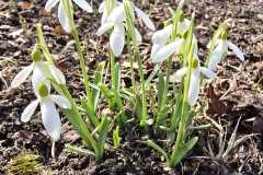 Sloneczne-pozegnanie-zimy-11