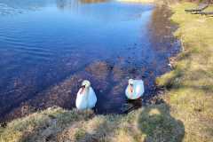 Sloneczne-pozegnanie-zimy-12