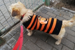 Warto-pomagac-tomaryny-22-05