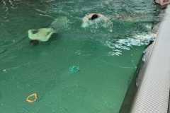 Wracamy-do-wody-z-pelnym-zaangazowaniem-11